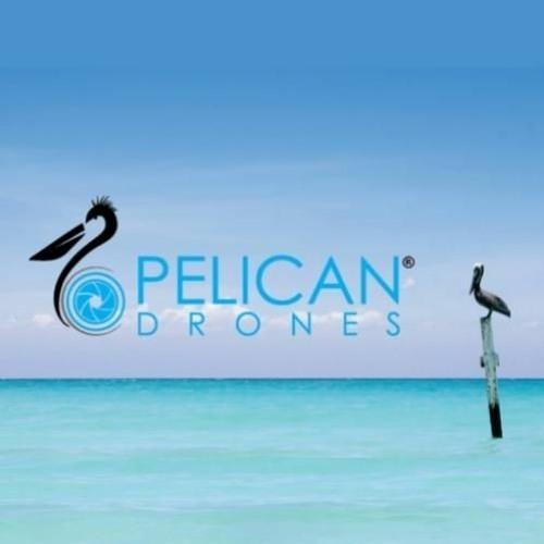 pelicandrones